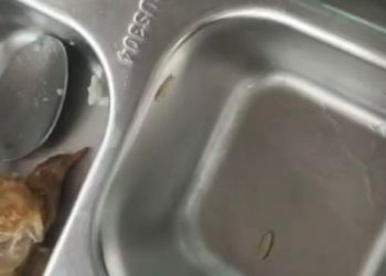 Progam MBG di Trenggalek kacau