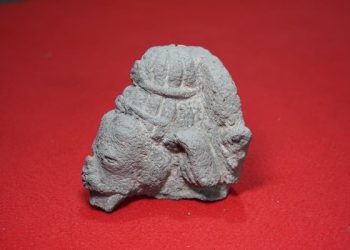 Arca Kepala Ganesha Ditemukan Dua Siswa SMKN 1 Ngasem