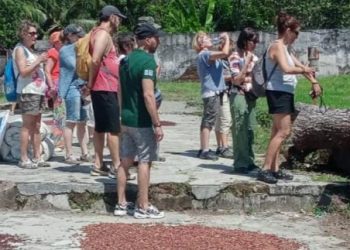 Wisman Spanyol Singgah ke Jember, Nikmati Wisata Perkebunan hingga Musik Patrol