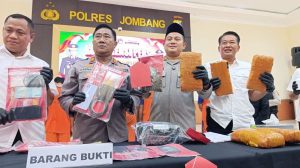 Menantu anggota DPRD Jombang jadi kurir ganja