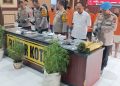 Polres Blitar Kota mengungkap ladang ganja di Blitar