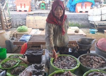 Salah satu penjual ikan di TPI Puger, Napia (60)