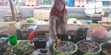 Salah satu penjual ikan di TPI Puger, Napia (60)