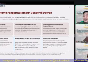 Dorong Kesetaraan, Webinar Lentera Mapan Seri 3 Angkat Isu Implementasi KHA dan PUG