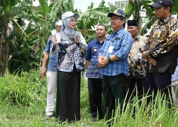 Dua Kelurahan Disiapkan Untuk Urban Farming, Mbak Wali Lakukan Peninjauan