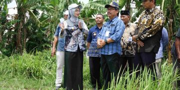 Dua Kelurahan Disiapkan Untuk Urban Farming, Mbak Wali Lakukan Peninjauan