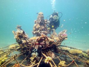 Desa Pemuteran Buleleng Bali