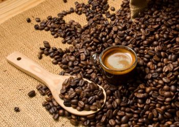 Kopi terbaik di dunia