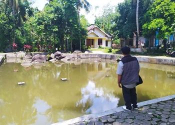 pemandangan disalah satu mata air dari tujuh sumber di lereng pegunungan Hyang Argopuro