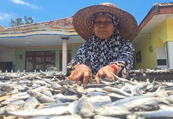 Satira dan Aroma Laut yang Tak Pernah Hilang dari Puger