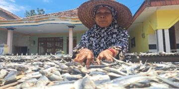 Satira dan Aroma Laut yang Tak Pernah Hilang dari Puger