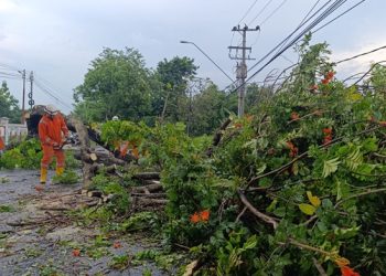 Belasan Rumah di Jombang Rusak Dihantam Hujan Es dan Angin