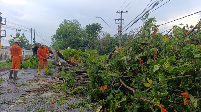 Belasan Rumah di Jombang Rusak Dihantam Hujan Es dan Angin