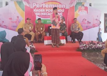 Gus Fawait Ajak Kader Posyandu Jadi Garda Depan Atasi Stunting Lewat UHC dan Wadul Gus’e