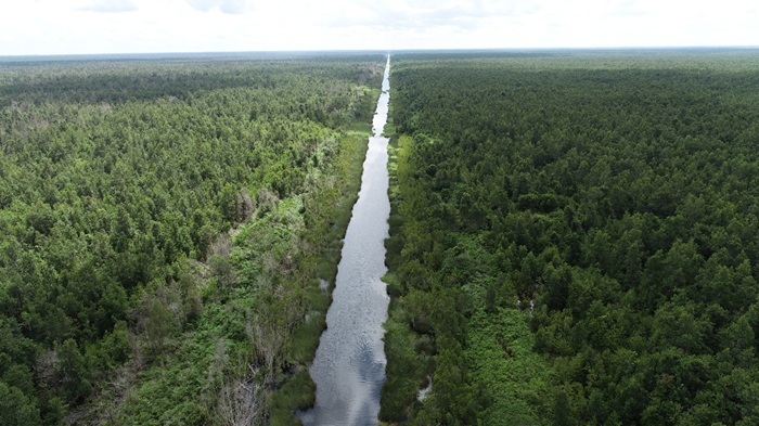 Perhutanan Sosial Jangan Dibebani Menurunkan Emisi