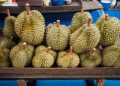 konfrontasi durian antara indonesia dan malaysia