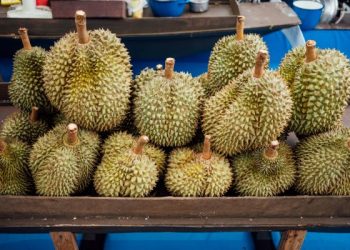konfrontasi durian antara indonesia dan malaysia