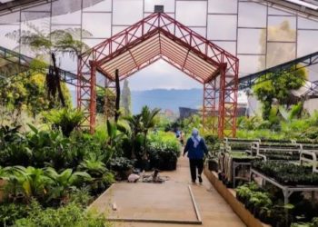 surga tanaman hias malang raya