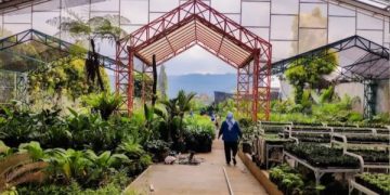 surga tanaman hias malang raya