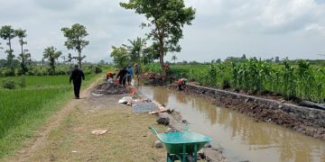 OPLAH 2025: Cara Baru Jember Menghidupkan Lahan Tidur dan Mengerek Produksi Padi