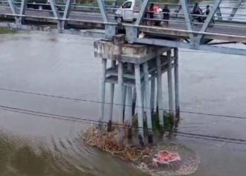 pembuangan limbah ayam ke sungai brantas