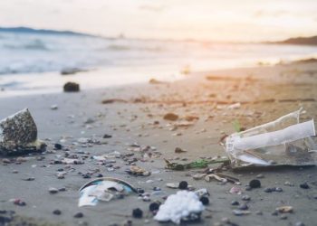 sampah plastik cemari laut