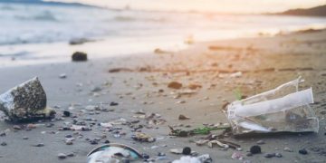 sampah plastik cemari laut