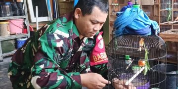 Sersan Satu Supriyadi dan burung Kenari di rumahnya. Foto: bacaini/AK Jatmiko