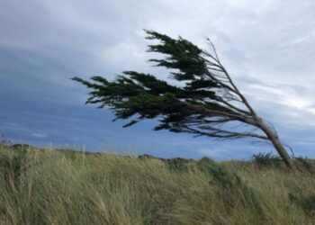 Angin kencang dan awan gelap melanda wilayah Jawa Timur saat BMKG mengeluarkan peringatan dini cuaca ekstrem