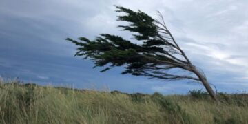 Angin kencang dan awan gelap melanda wilayah Jawa Timur saat BMKG mengeluarkan peringatan dini cuaca ekstrem