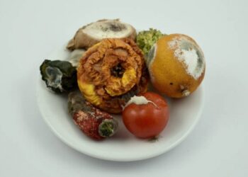 Ilustrasi makanan basi. Foto: istimewa