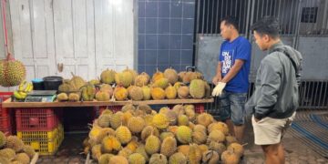 Lapak durian lokal Trenggalek yang ramai pembeli saat Ramadan