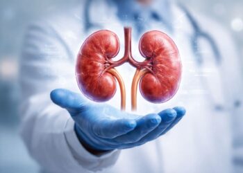 Ilustrasi organ ginjal manusia dengan penjelasan peningkatan penyakit ginjal kronis pada anak dan usia muda