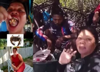 Kreator Filipina sebelum makan kepiting beracun untuk konten