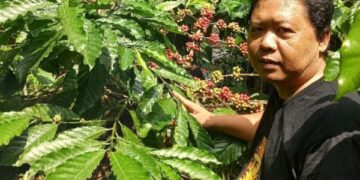 Kopi Robusta Selorejo Blitar juara dua Indonesia Green Coffee Competition 2026