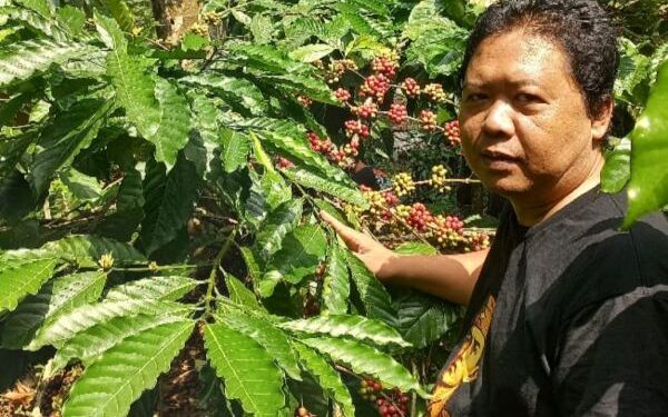 Kopi Robusta Selorejo Blitar juara dua Indonesia Green Coffee Competition 2026