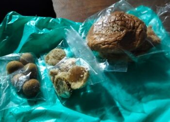 Menu MBG SMAN 1 Kota Blitar yang diprotes wali murid