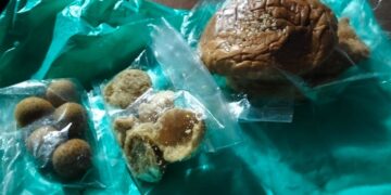 Menu MBG SMAN 1 Kota Blitar yang diprotes wali murid