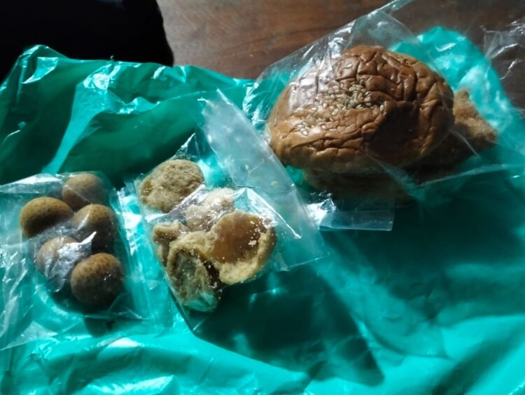 Menu MBG SMAN 1 Kota Blitar yang diprotes wali murid