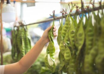 Pete makanan kampung dijual sebagai luxury ingredient di supermarket Eropa