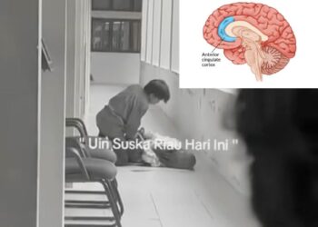 Ilustrasi bagian otak Anterior Cingulate Cortex (ACC) yang berperan dalam kontrol emosi