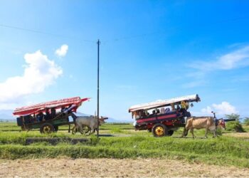 Festival pegon yang berlangsung di pantai watu ulo-papuma