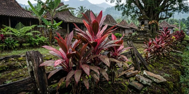 Tanaman andong merah di area pemakaman sebagai simbol penghubung dunia spiritual