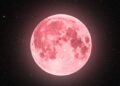 Pink moon