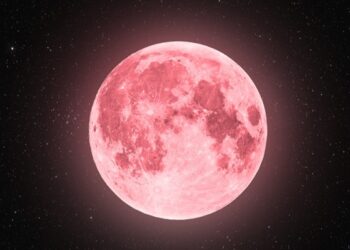 Pink moon