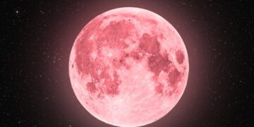 Pink moon