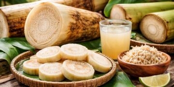 Gedebok pisang yang dimanfaatkan sebagai bahan pangan dan sumber serat alami