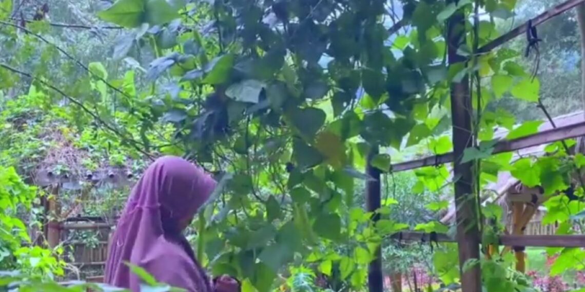 konten silent content aesthetic tanpa suara