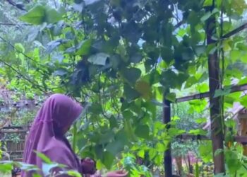 konten silent content aesthetic tanpa suara