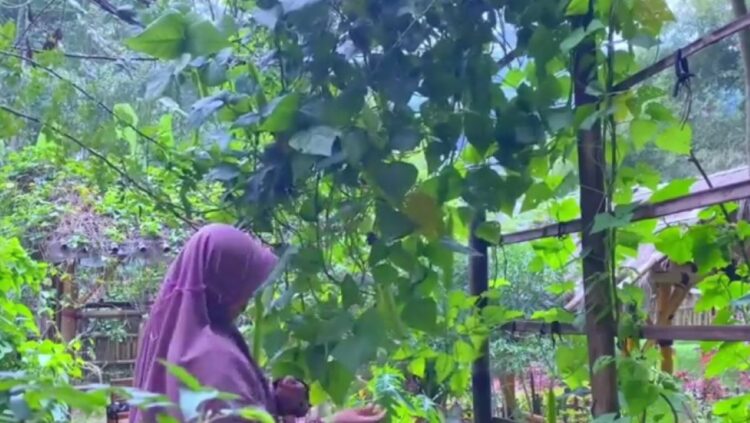 konten silent content aesthetic tanpa suara